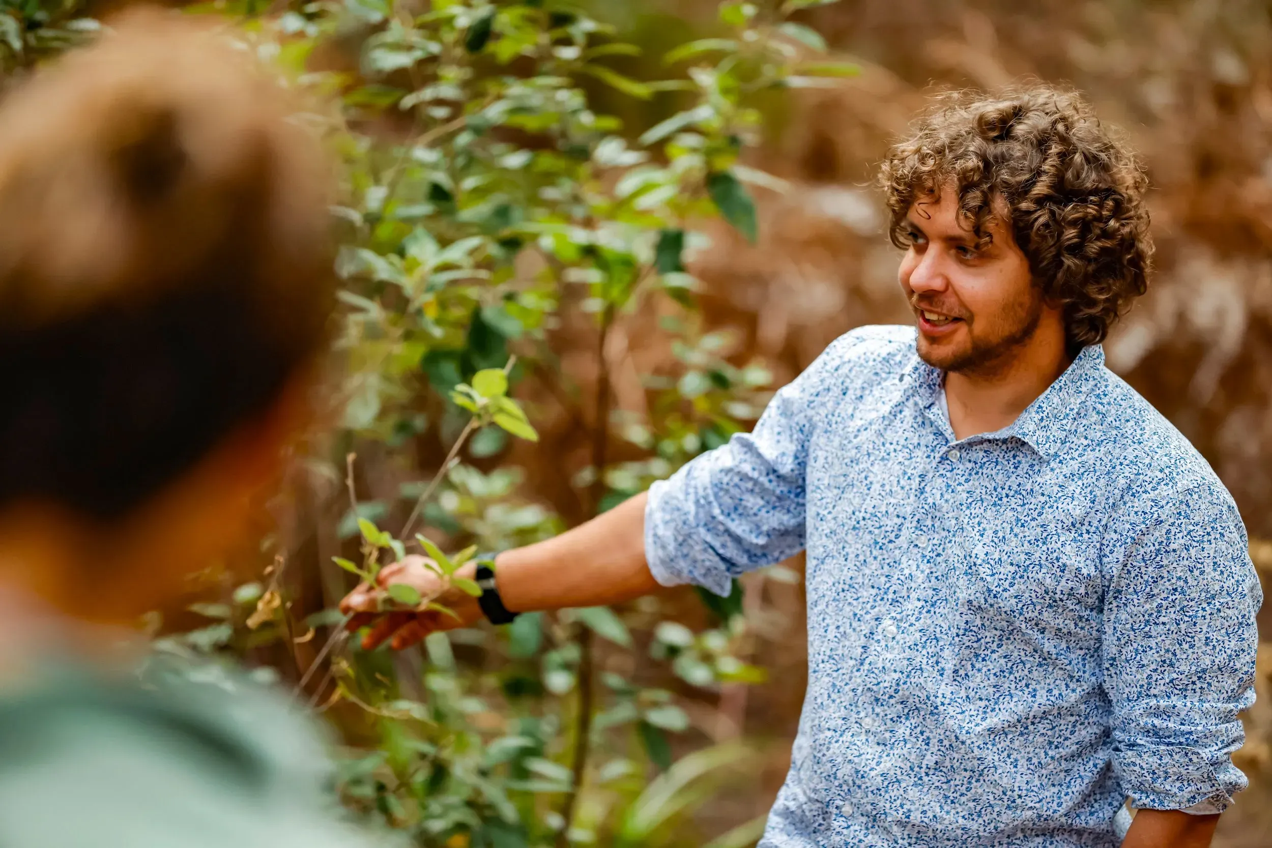 djuker-willis-hart-profile-2