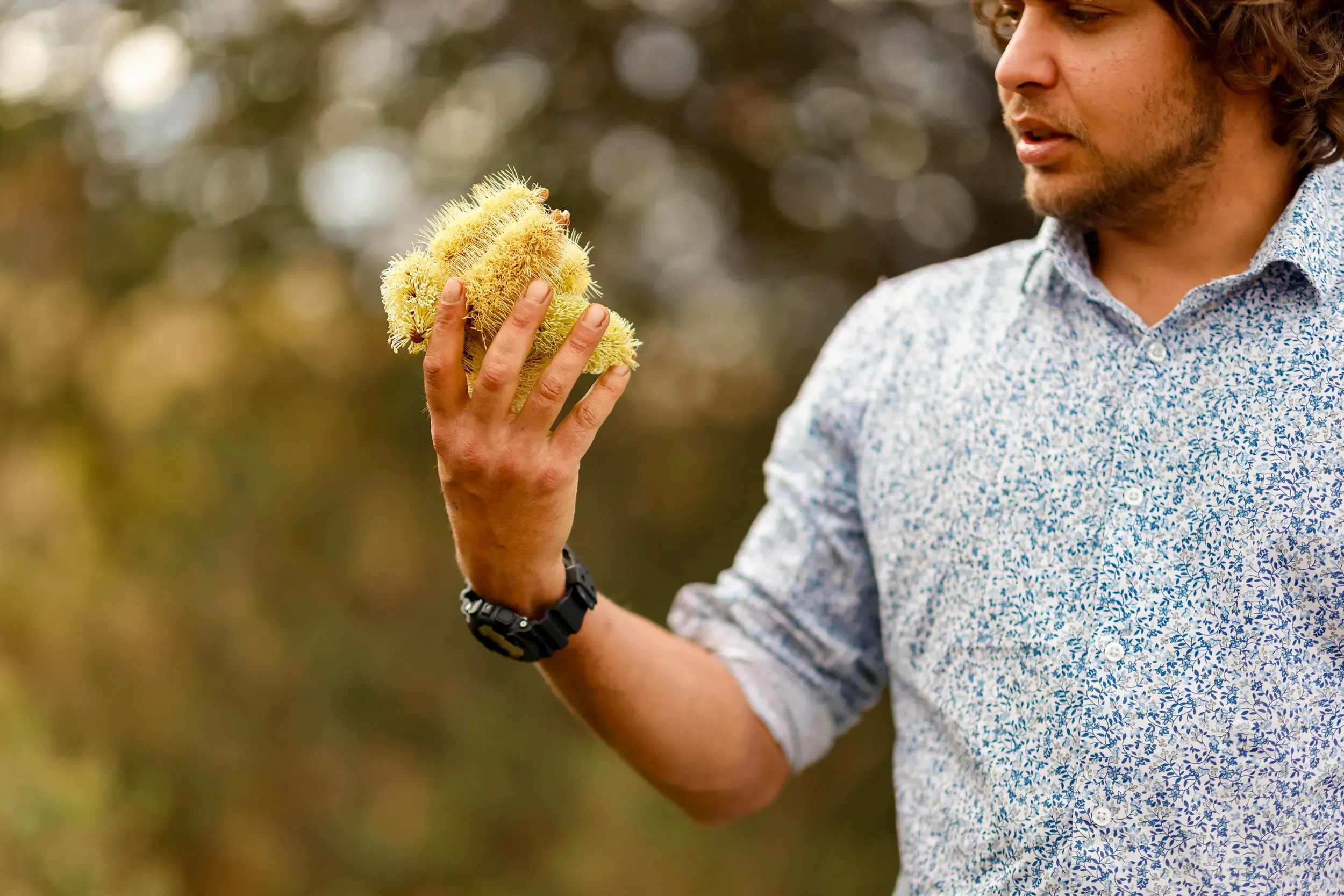 djuker-willis-hart-profile-3